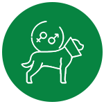 Spaying and neutering