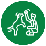 Training and behaviour